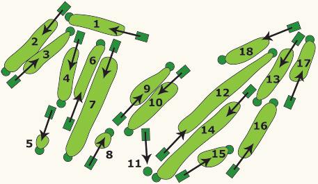Dales Course layout